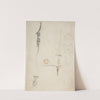 Fragmentary Sketches of Various Ornament by Giovanni Battista Natali III