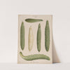 Frame Cucumbers (1876-1886) by Ernst Benary