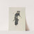 Frau mit Regenschirm (Femme au parapluie) by Pierre Bonnard
