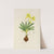 Freesia Refracta by Illtyd Buller Pole-Evans