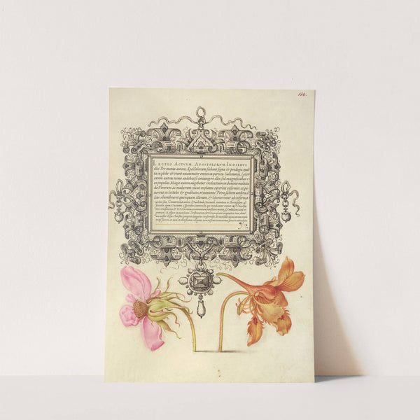 French Rose and Dwarf Nasturtium (1561–1596) by Joris Hoefnagel