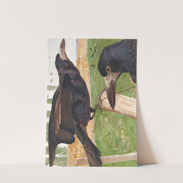 Freux (corbeau) by Léo-Paul Robert