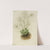 Fringed Parnassia (Parnassia fimbriata) (1905) by Mary Vaux Walcott