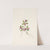 Fringed Polygala. Polygala paucifolia (1925) by Mary Vaux Walcott