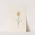 Frittilari. [Fritillaria] (1692) by Magdelena Rosina Funck