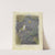 Frog by a Dandelion with Flies by Jan van Oort