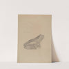 Frog Door Stop by Donald Streeter