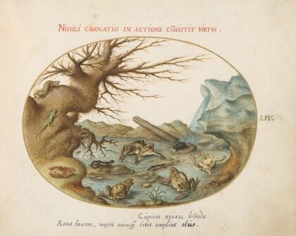 Frogs, Lizards, and Salamanders in a Landscape (1575-1590)