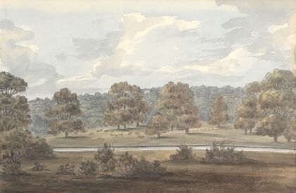 From Dining Room Window, Wanstead Grove