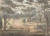 From Flower Garden, Wanstead Grove