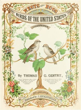 Frontispiece