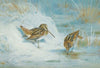 Frozen Out Snipe (1932)