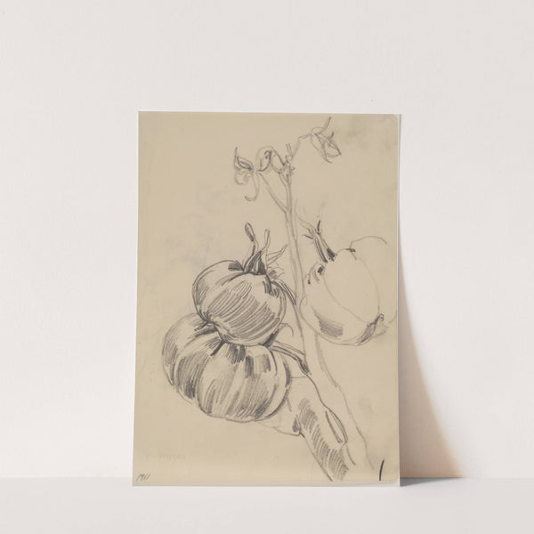 Frugter by Jens Adolf Jerichau