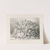 Fruit and flower piece (1863) by Currier & Ives.