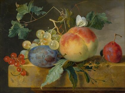Fruit Still Life