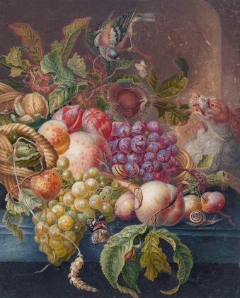 Fruit Still Life