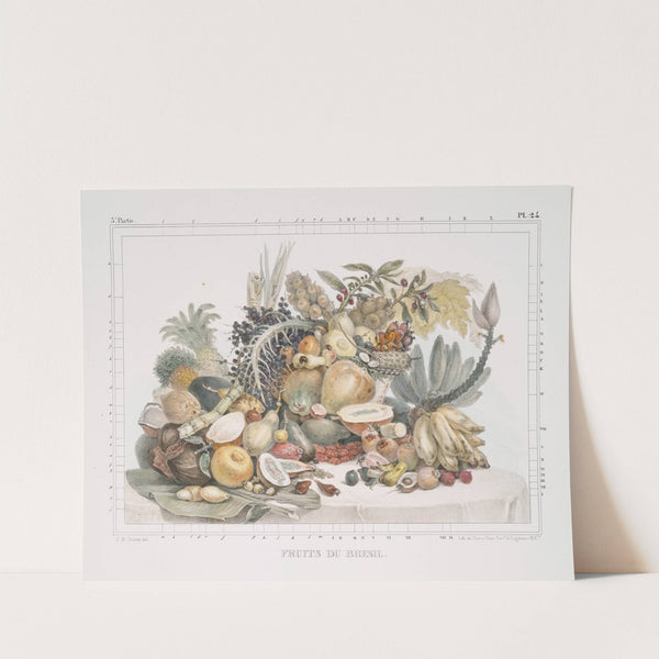 Fruits de Brésil by Jean Baptiste Debret