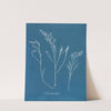 Fucus tuberculatus (1843-1853) by Anna Atkins