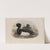 Fuligula cristata. Tufted Duck. (1862-1873) by John Gould