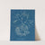 Furcellaria fastigiata. by Anna Atkins
