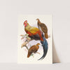 Gallus La-Fayettei. by Joseph Smit