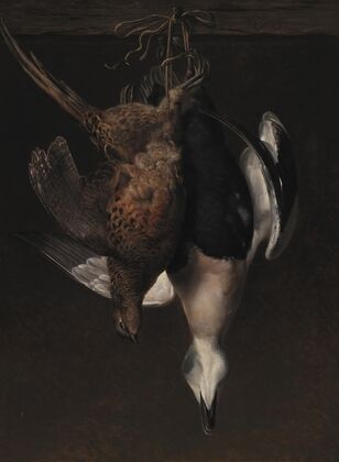 Game. A Pheasant And An Eider — size preview