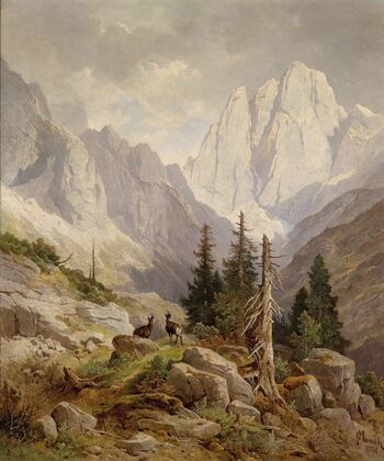 Gämsen im Hochgebirge