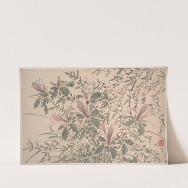 Garden Flowers Pl.11 (1540) by Chen Chun