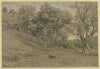 Garden with fruit trees