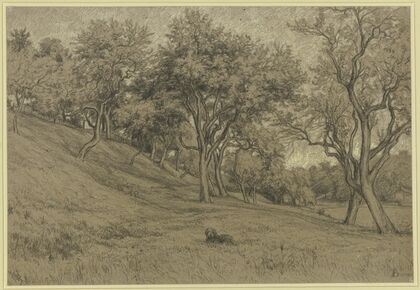 Garden with fruit trees