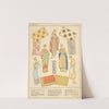 Gaul - Fabrics and embroideries by Paul Louis de Giafferri
