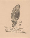 Geabstraheerd gezicht met getuite lippen (1923)