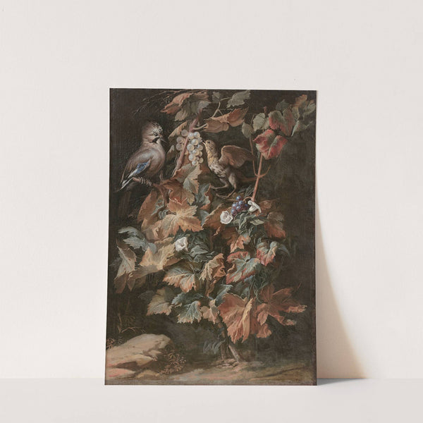 Geai et étourneau sur un pied de vigne entouré de liseron by Nicola van Houbraken