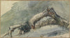 Geborstener Ast