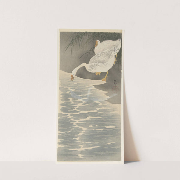Geese on the bank by Ohara Koson