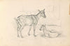 Geit og killing (1859)
