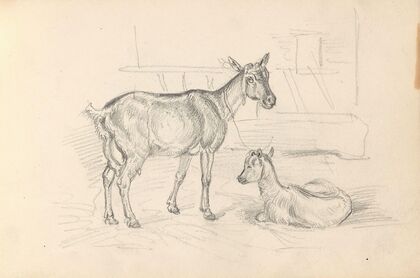 Geit og killing (1859)