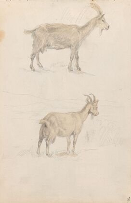 Geiter (1852)