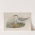 Gelochelidon anglica. Gull-billed Tern. (1862-1873) by John Gould