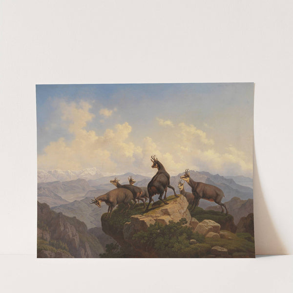 Gemsen im Karwendel by Friedrich Hohe