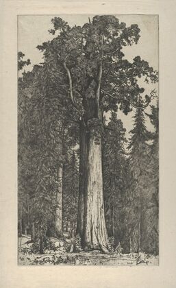 General Sherman (1900-1925)