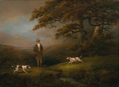 Gentleman shooting over two pointers