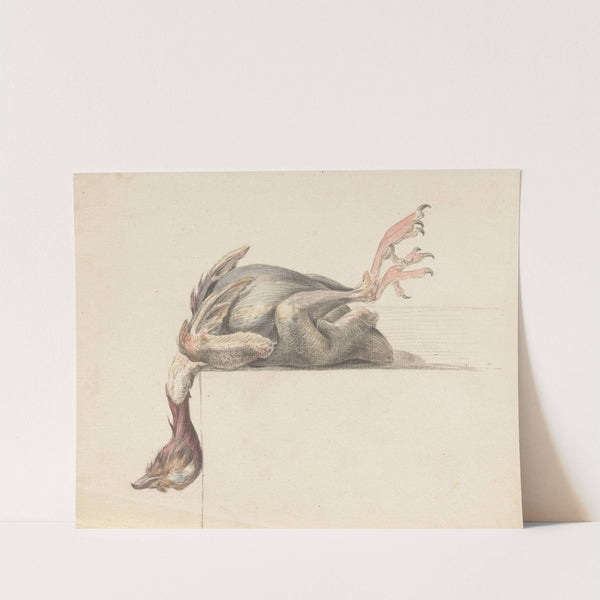 Geplukte vogel, met de kop naar beneden hangend by Jean Bernard