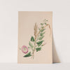 Geranium by John Stevens Henslow