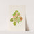 Geranium Traversii by Georgina Burne Hetley