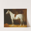 Gesattelter Schimmel im Stall by Emil Volkers