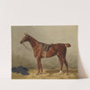 Gesatteltes Sportpferd (1895) by Emil Volkers