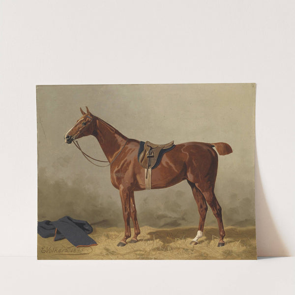 Gesatteltes Sportpferd (1895) by Emil Volkers
