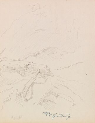 Gestürzte Wetterfichte (Ca. 1850-1860)