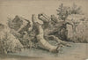 Gestürzter Baum an einem Bach